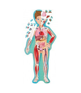 Libro Más Rompecabezas Ovalado El Cuerpo Humano