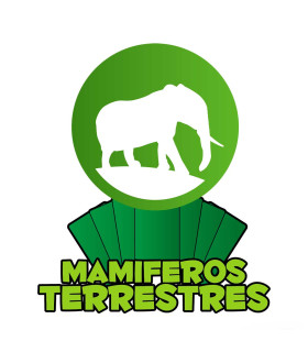 Cartas clásicas Grandes Mamíferos Terrestres Luminias