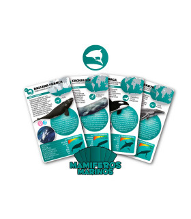 Cartas clásicasMamíferos Marinos Luminias