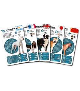 Cartas clásicas Razas De Perros Luminias