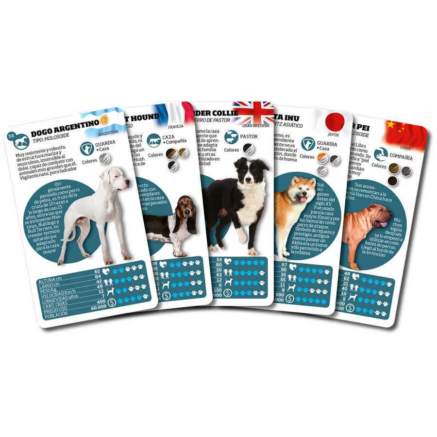 Cartas clásicas Razas De Perros Luminias
