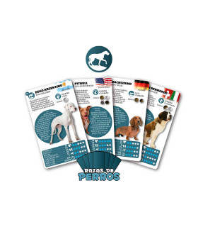 Cartas clásicas Razas De Perros Luminias