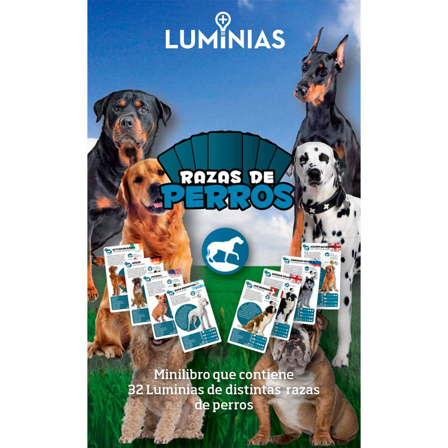 Cartas clásicas Razas De Perros Luminias