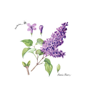 Servilletas 33 x 33 cm Lilac