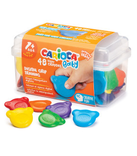 Crayones Teddy Baby Carioca x 48