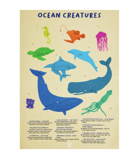 Puzzle de Piso Brillante de Ballena 200 Pzs Hape