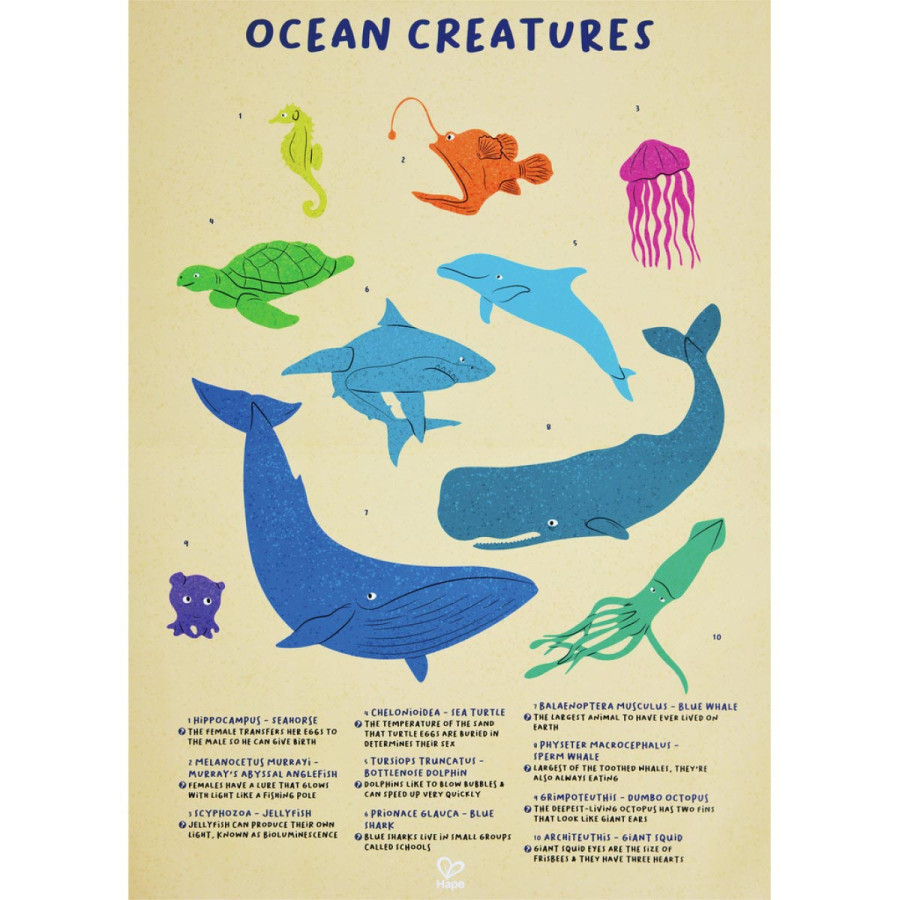 Puzzle de Piso Brillante de Ballena 200 Pzs Hape