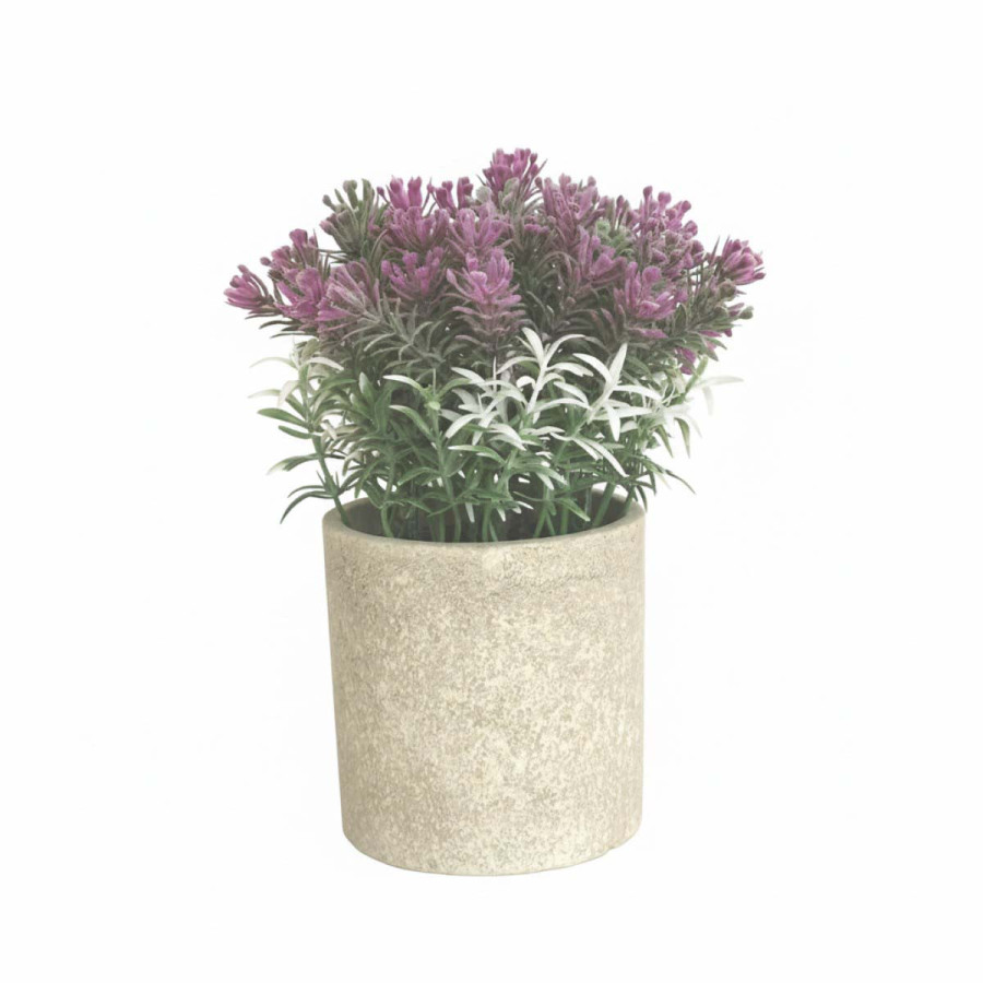 Lavanda en Maceta 22 cm Alparamis