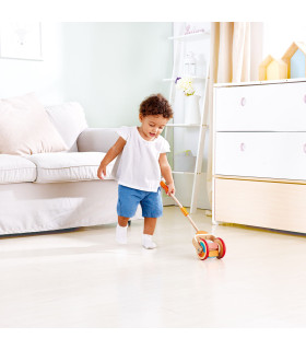 Juguete de Empuje Arcoiris Hape