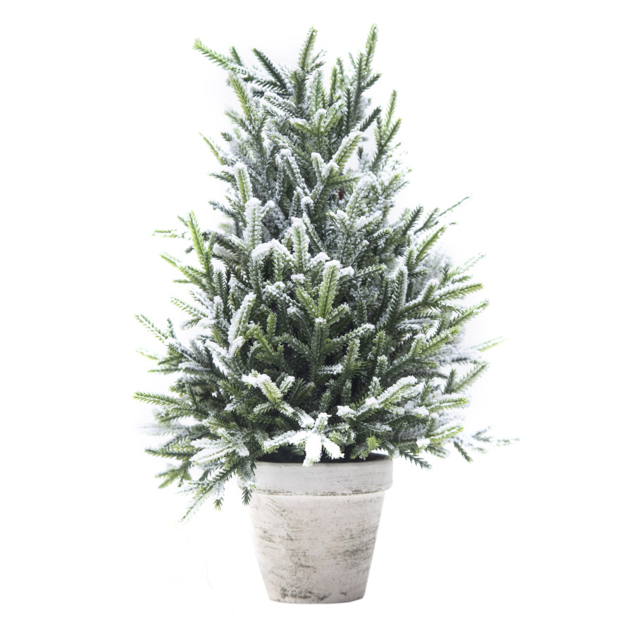 Pino Nevado en Maceta 40 cm Alparamis